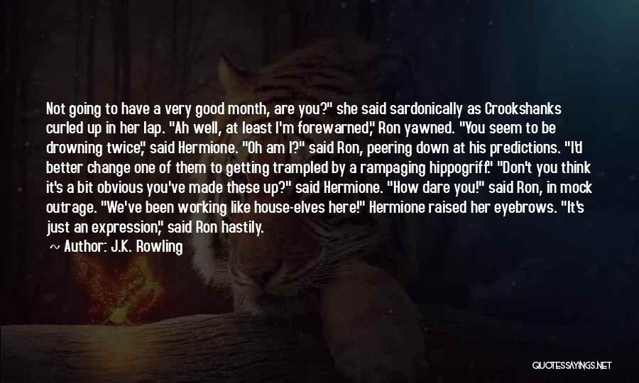 J.K. Rowling Quotes: Not Going To Have A Very Good Month, Are You? She Said Sardonically As Crookshanks Curled Up In Her Lap.