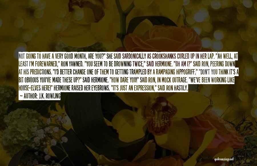 J.K. Rowling Quotes: Not Going To Have A Very Good Month, Are You? She Said Sardonically As Crookshanks Curled Up In Her Lap.