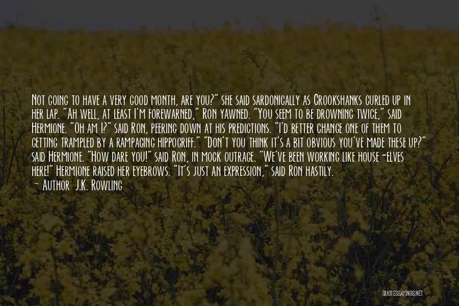 J.K. Rowling Quotes: Not Going To Have A Very Good Month, Are You? She Said Sardonically As Crookshanks Curled Up In Her Lap.