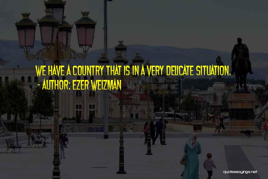 Ezer Weizman Quotes: We Have A Country That Is In A Very Delicate Situation.