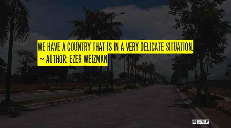 Ezer Weizman Quotes: We Have A Country That Is In A Very Delicate Situation.