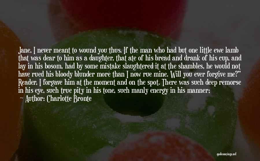 Charlotte Bronte Quotes: Jane, I Never Meant To Wound You Thus. If The Man Who Had But One Little Ewe Lamb That Was