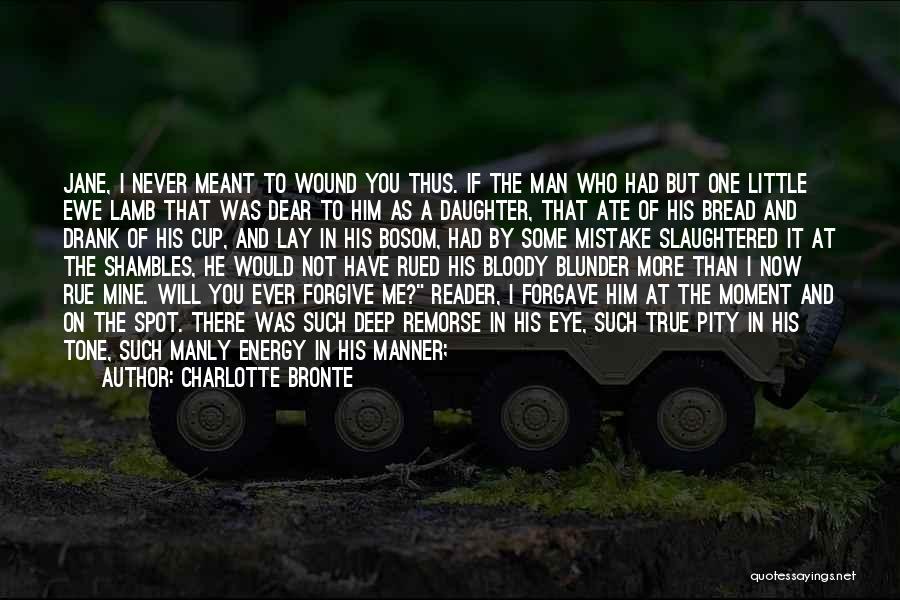 Charlotte Bronte Quotes: Jane, I Never Meant To Wound You Thus. If The Man Who Had But One Little Ewe Lamb That Was