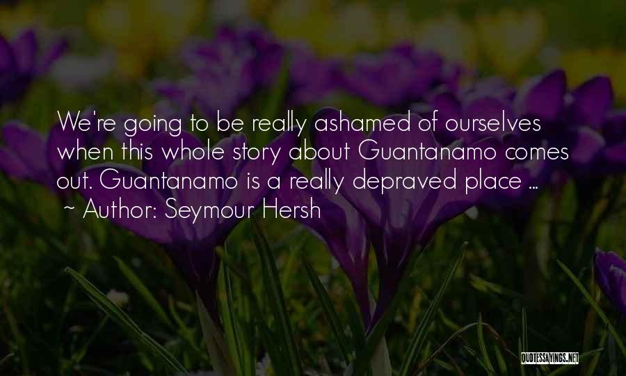 Seymour Hersh Quotes: We're Going To Be Really Ashamed Of Ourselves When This Whole Story About Guantanamo Comes Out. Guantanamo Is A Really