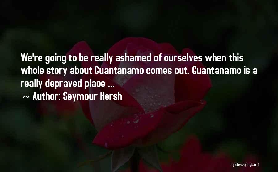 Seymour Hersh Quotes: We're Going To Be Really Ashamed Of Ourselves When This Whole Story About Guantanamo Comes Out. Guantanamo Is A Really