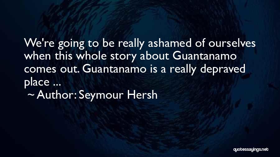 Seymour Hersh Quotes: We're Going To Be Really Ashamed Of Ourselves When This Whole Story About Guantanamo Comes Out. Guantanamo Is A Really