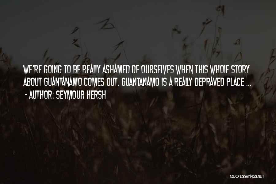 Seymour Hersh Quotes: We're Going To Be Really Ashamed Of Ourselves When This Whole Story About Guantanamo Comes Out. Guantanamo Is A Really