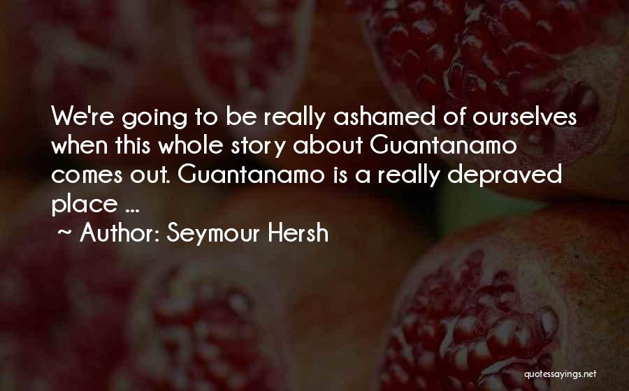 Seymour Hersh Quotes: We're Going To Be Really Ashamed Of Ourselves When This Whole Story About Guantanamo Comes Out. Guantanamo Is A Really