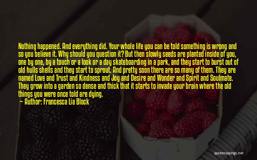 Francesca Lia Block Quotes: Nothing Happened. And Everything Did. Your Whole Life You Can Be Told Something Is Wrong And So You Believe It.