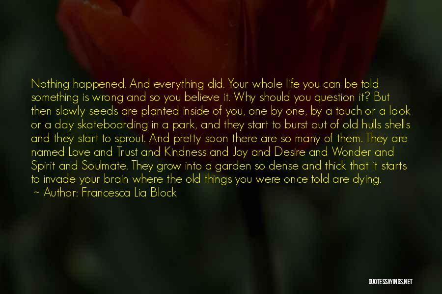 Francesca Lia Block Quotes: Nothing Happened. And Everything Did. Your Whole Life You Can Be Told Something Is Wrong And So You Believe It.