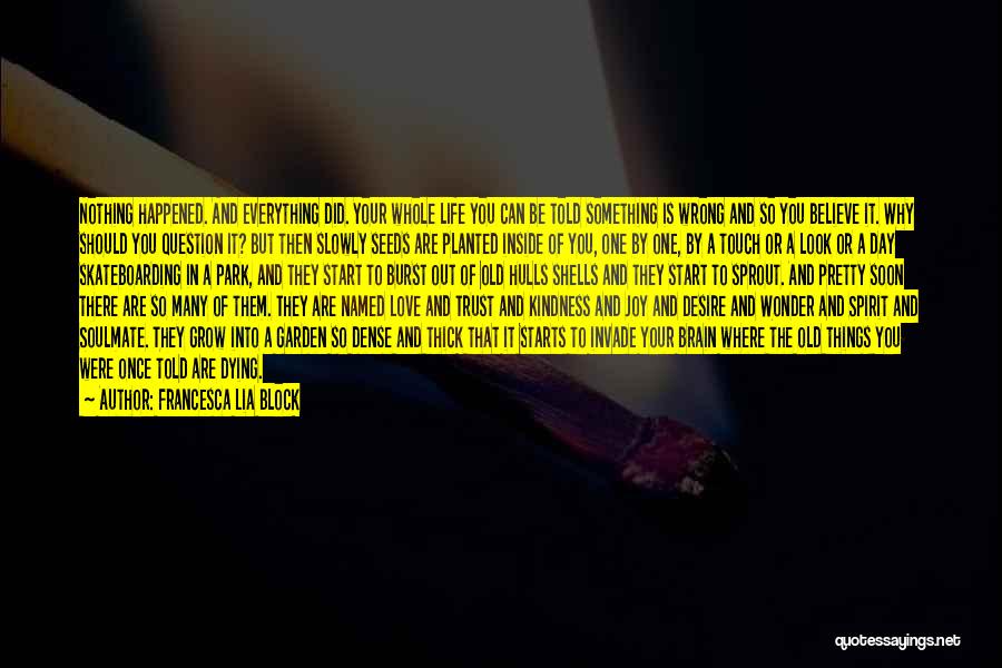 Francesca Lia Block Quotes: Nothing Happened. And Everything Did. Your Whole Life You Can Be Told Something Is Wrong And So You Believe It.