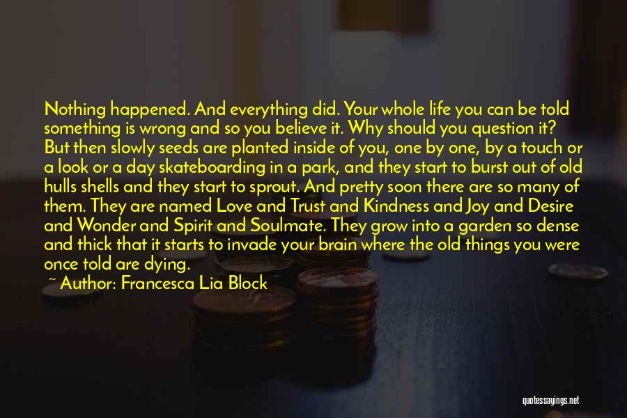 Francesca Lia Block Quotes: Nothing Happened. And Everything Did. Your Whole Life You Can Be Told Something Is Wrong And So You Believe It.