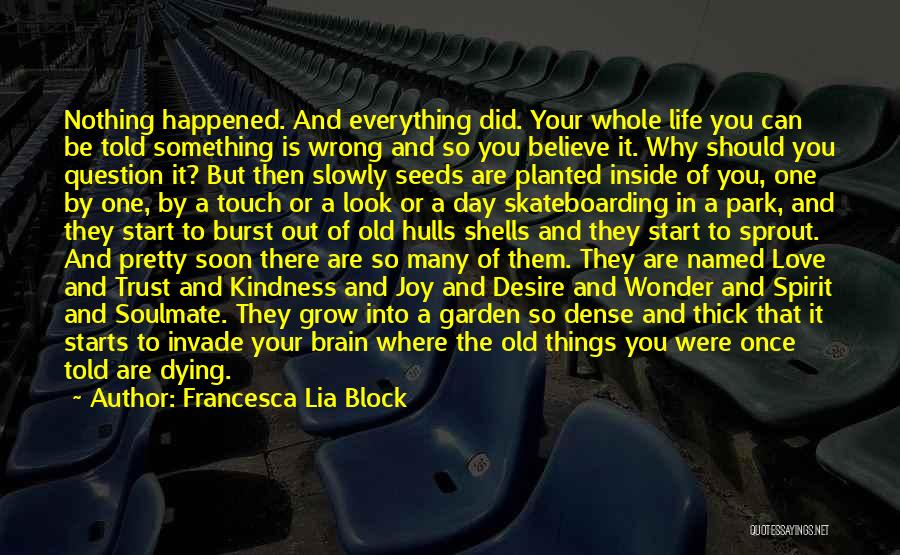 Francesca Lia Block Quotes: Nothing Happened. And Everything Did. Your Whole Life You Can Be Told Something Is Wrong And So You Believe It.