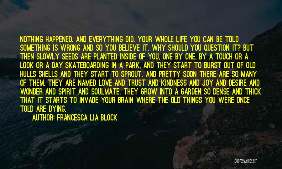 Francesca Lia Block Quotes: Nothing Happened. And Everything Did. Your Whole Life You Can Be Told Something Is Wrong And So You Believe It.