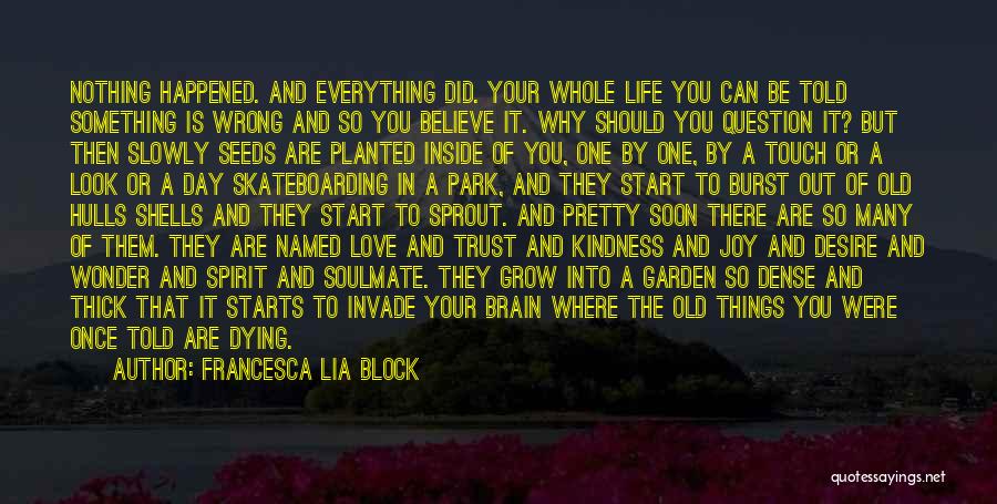 Francesca Lia Block Quotes: Nothing Happened. And Everything Did. Your Whole Life You Can Be Told Something Is Wrong And So You Believe It.