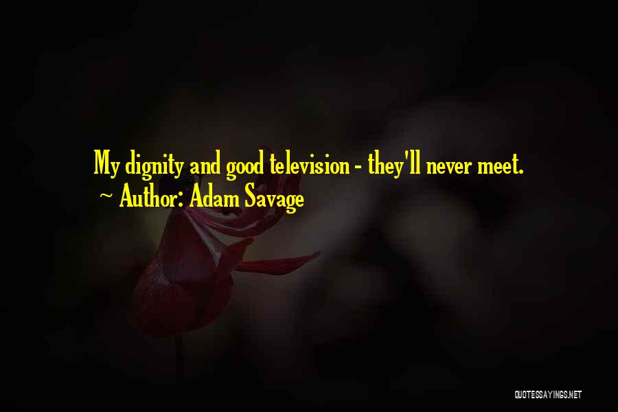 Adam Savage Quotes: My Dignity And Good Television - They'll Never Meet.