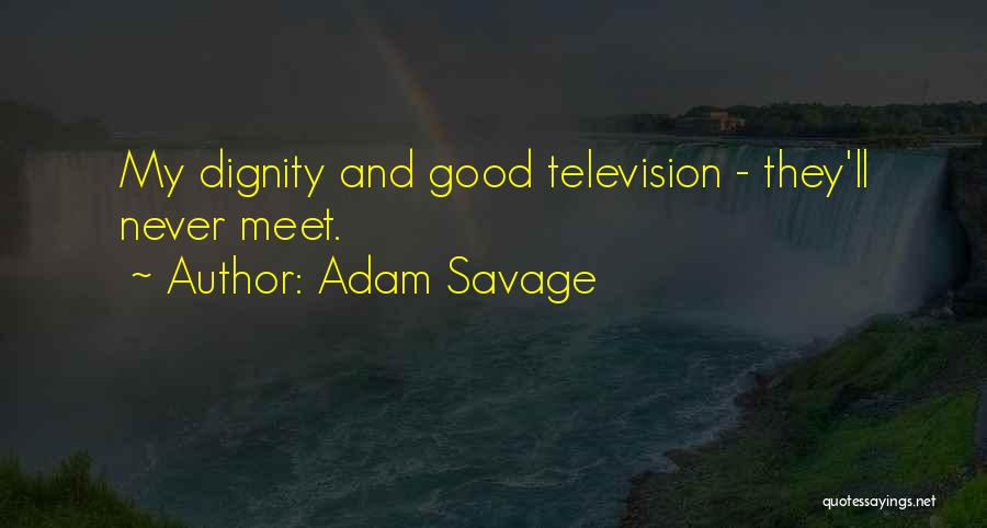 Adam Savage Quotes: My Dignity And Good Television - They'll Never Meet.