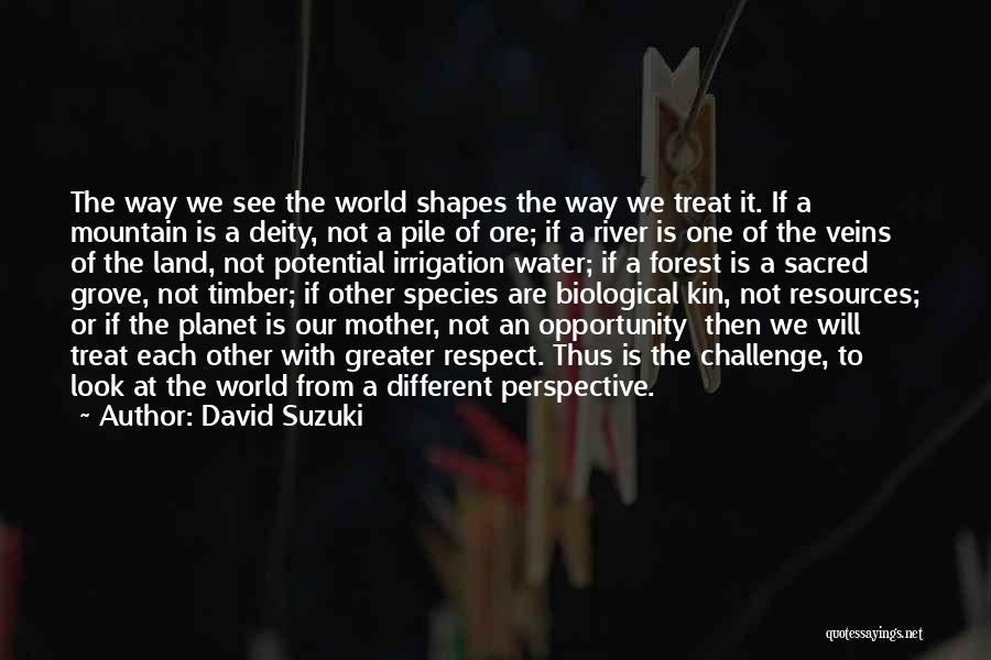 David Suzuki Quotes: The Way We See The World Shapes The Way We Treat It. If A Mountain Is A Deity, Not A