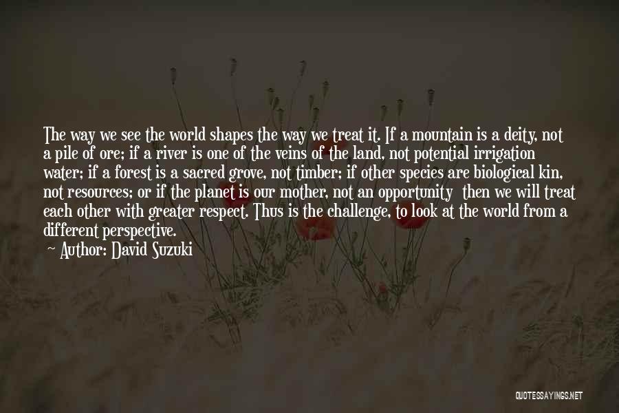 David Suzuki Quotes: The Way We See The World Shapes The Way We Treat It. If A Mountain Is A Deity, Not A