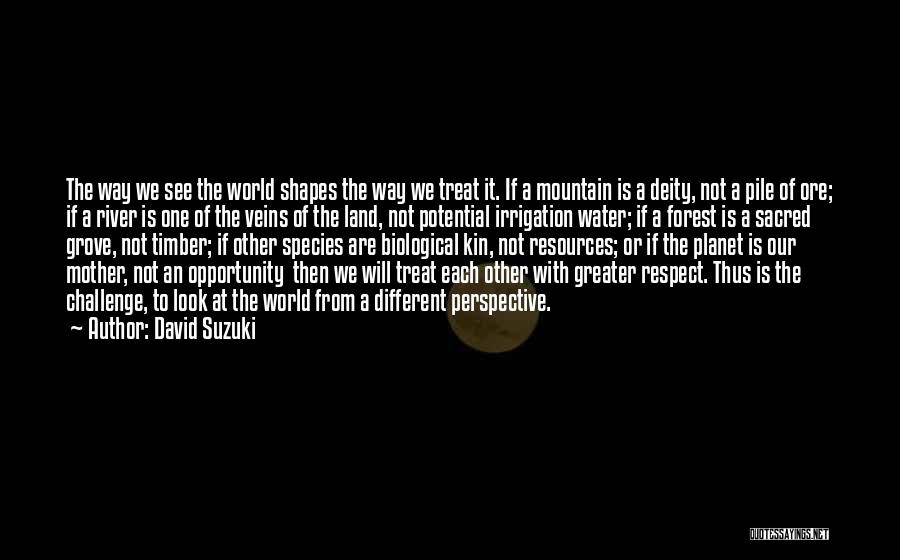 David Suzuki Quotes: The Way We See The World Shapes The Way We Treat It. If A Mountain Is A Deity, Not A