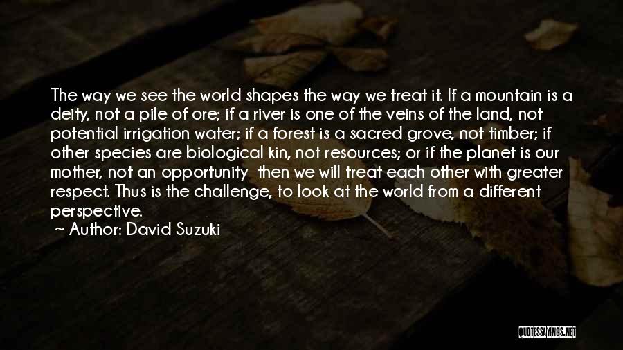 David Suzuki Quotes: The Way We See The World Shapes The Way We Treat It. If A Mountain Is A Deity, Not A