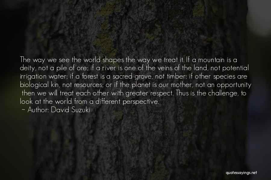 David Suzuki Quotes: The Way We See The World Shapes The Way We Treat It. If A Mountain Is A Deity, Not A