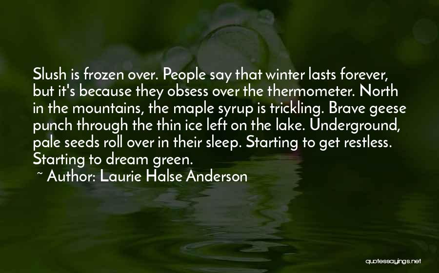 Laurie Halse Anderson Quotes: Slush Is Frozen Over. People Say That Winter Lasts Forever, But It's Because They Obsess Over The Thermometer. North In