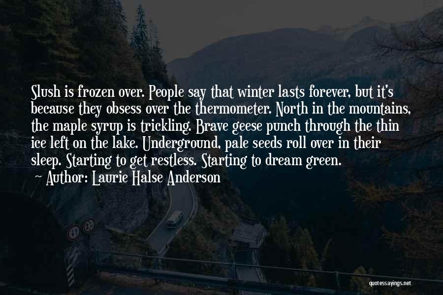 Laurie Halse Anderson Quotes: Slush Is Frozen Over. People Say That Winter Lasts Forever, But It's Because They Obsess Over The Thermometer. North In