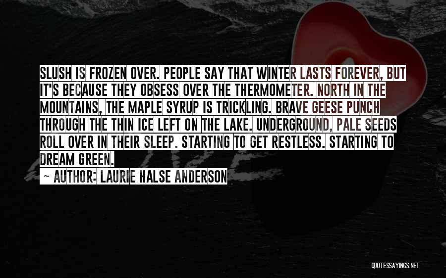 Laurie Halse Anderson Quotes: Slush Is Frozen Over. People Say That Winter Lasts Forever, But It's Because They Obsess Over The Thermometer. North In