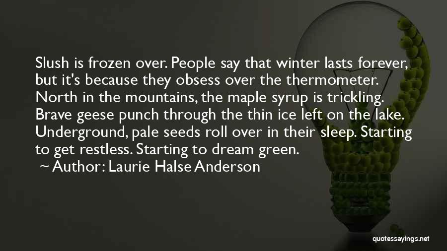 Laurie Halse Anderson Quotes: Slush Is Frozen Over. People Say That Winter Lasts Forever, But It's Because They Obsess Over The Thermometer. North In