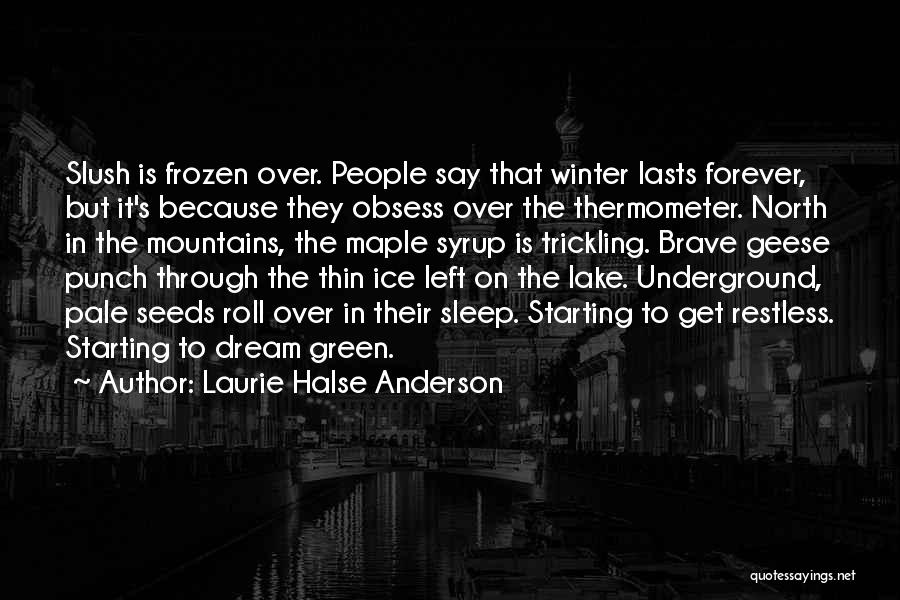 Laurie Halse Anderson Quotes: Slush Is Frozen Over. People Say That Winter Lasts Forever, But It's Because They Obsess Over The Thermometer. North In