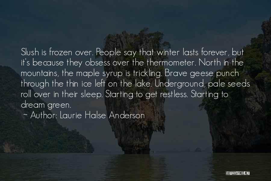 Laurie Halse Anderson Quotes: Slush Is Frozen Over. People Say That Winter Lasts Forever, But It's Because They Obsess Over The Thermometer. North In