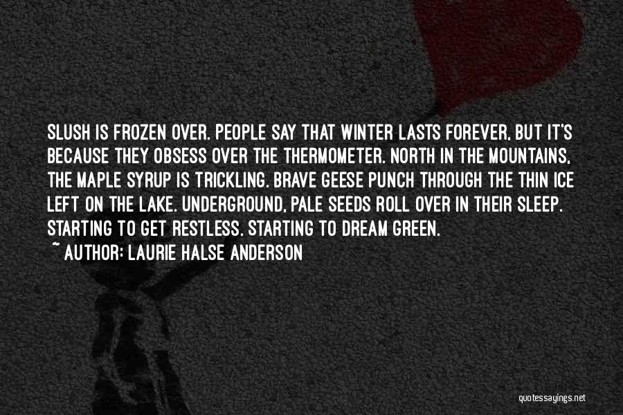 Laurie Halse Anderson Quotes: Slush Is Frozen Over. People Say That Winter Lasts Forever, But It's Because They Obsess Over The Thermometer. North In