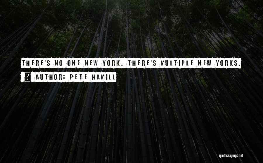 Pete Hamill Quotes: There's No One New York. There's Multiple New Yorks.