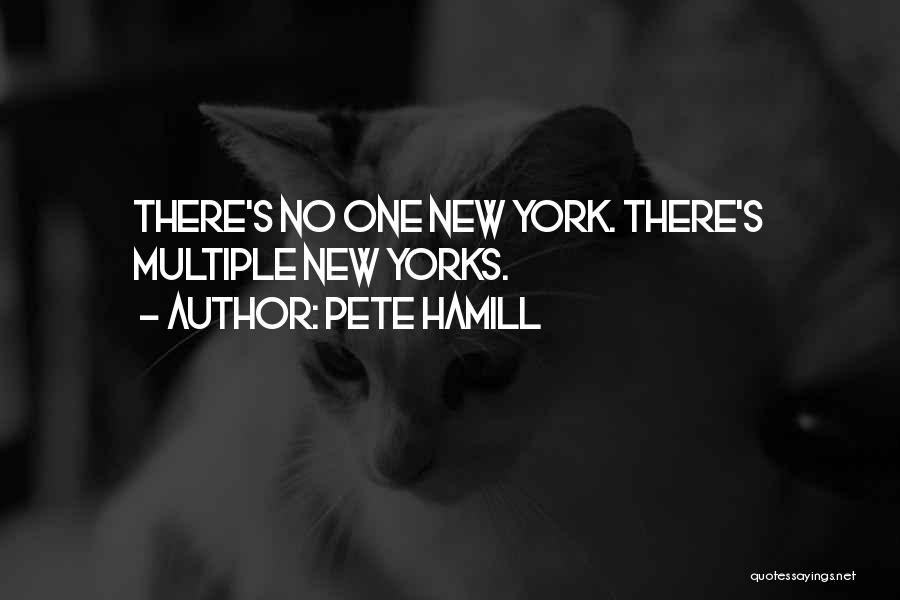 Pete Hamill Quotes: There's No One New York. There's Multiple New Yorks.