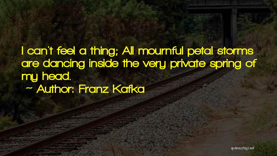 Franz Kafka Quotes: I Can't Feel A Thing; All Mournful Petal Storms Are Dancing Inside The Very Private Spring Of My Head.