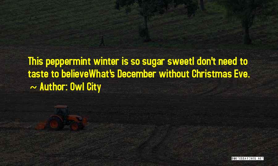 Owl City Quotes: This Peppermint Winter Is So Sugar Sweeti Don't Need To Taste To Believewhat's December Without Christmas Eve.