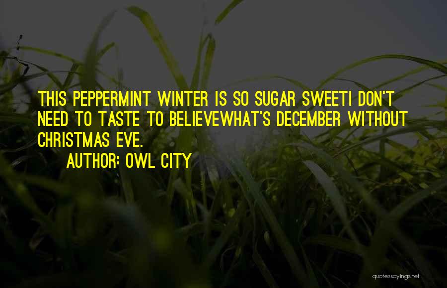 Owl City Quotes: This Peppermint Winter Is So Sugar Sweeti Don't Need To Taste To Believewhat's December Without Christmas Eve.