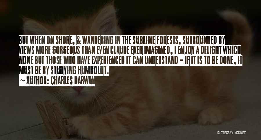 Charles Darwin Quotes: But When On Shore, & Wandering In The Sublime Forests, Surrounded By Views More Gorgeous Than Even Claude Ever Imagined,