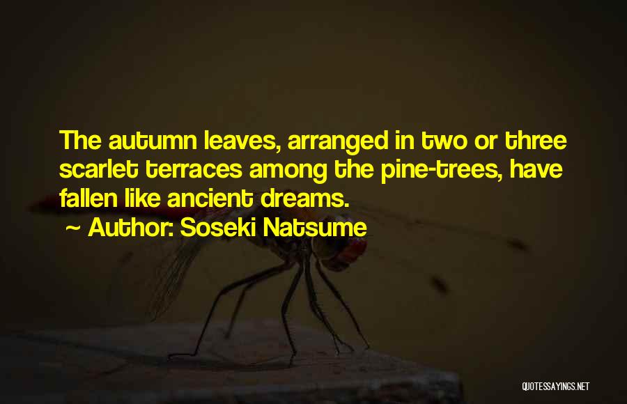 Soseki Natsume Quotes: The Autumn Leaves, Arranged In Two Or Three Scarlet Terraces Among The Pine-trees, Have Fallen Like Ancient Dreams.