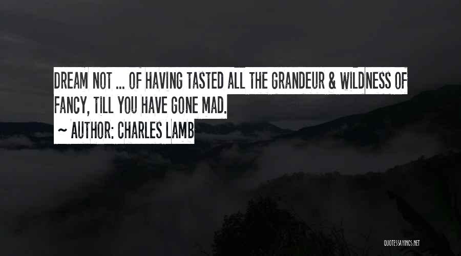 Charles Lamb Quotes: Dream Not ... Of Having Tasted All The Grandeur & Wildness Of Fancy, Till You Have Gone Mad.