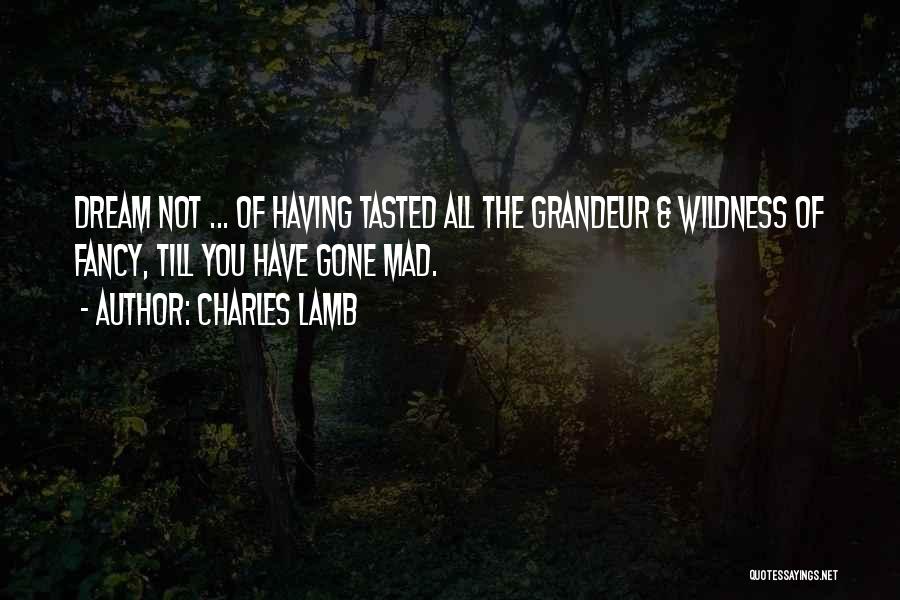 Charles Lamb Quotes: Dream Not ... Of Having Tasted All The Grandeur & Wildness Of Fancy, Till You Have Gone Mad.