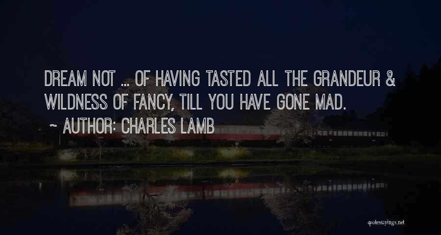 Charles Lamb Quotes: Dream Not ... Of Having Tasted All The Grandeur & Wildness Of Fancy, Till You Have Gone Mad.