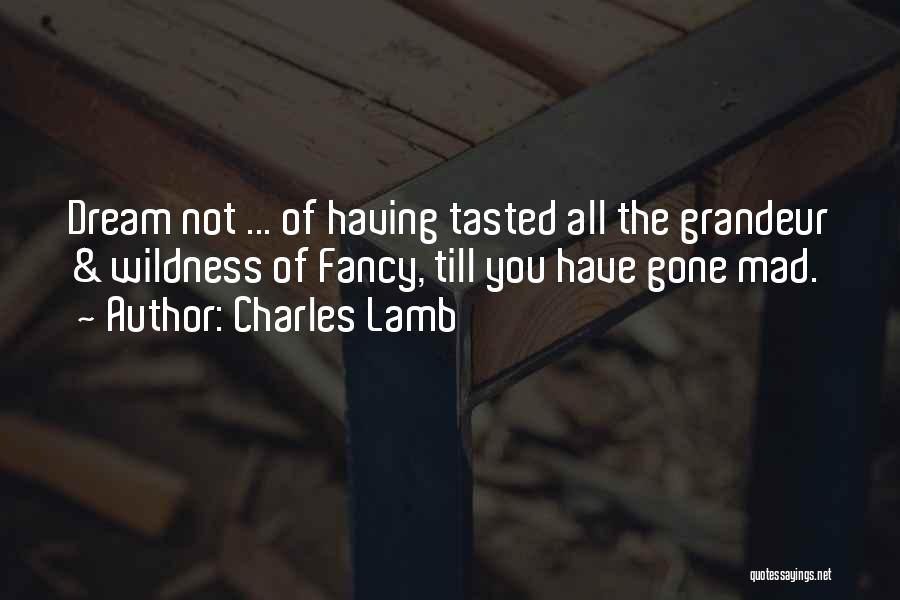 Charles Lamb Quotes: Dream Not ... Of Having Tasted All The Grandeur & Wildness Of Fancy, Till You Have Gone Mad.