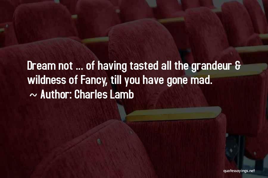 Charles Lamb Quotes: Dream Not ... Of Having Tasted All The Grandeur & Wildness Of Fancy, Till You Have Gone Mad.