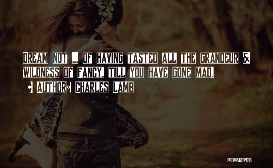 Charles Lamb Quotes: Dream Not ... Of Having Tasted All The Grandeur & Wildness Of Fancy, Till You Have Gone Mad.