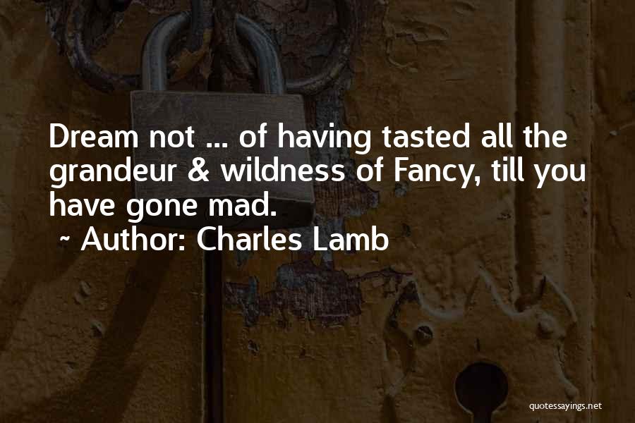 Charles Lamb Quotes: Dream Not ... Of Having Tasted All The Grandeur & Wildness Of Fancy, Till You Have Gone Mad.
