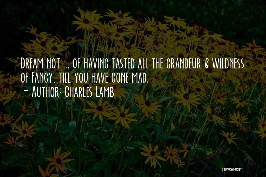 Charles Lamb Quotes: Dream Not ... Of Having Tasted All The Grandeur & Wildness Of Fancy, Till You Have Gone Mad.