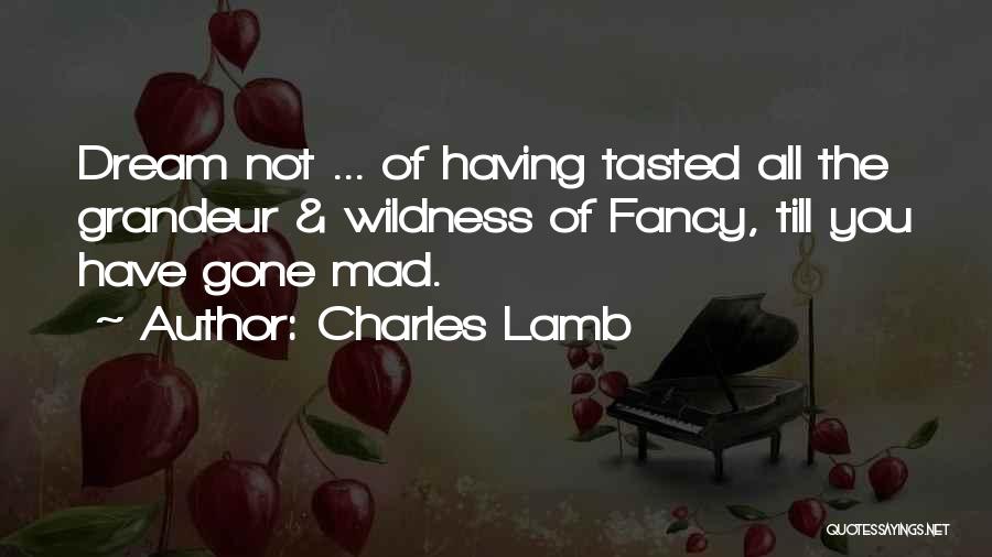 Charles Lamb Quotes: Dream Not ... Of Having Tasted All The Grandeur & Wildness Of Fancy, Till You Have Gone Mad.