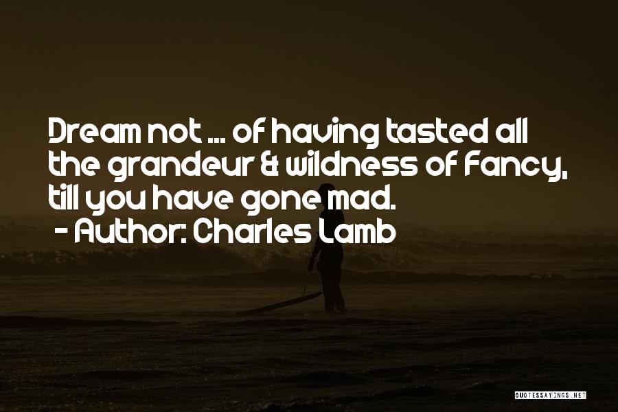 Charles Lamb Quotes: Dream Not ... Of Having Tasted All The Grandeur & Wildness Of Fancy, Till You Have Gone Mad.